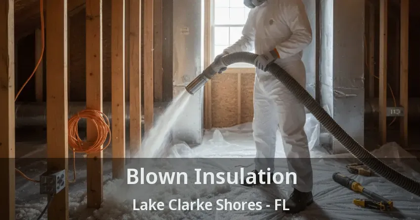 Blown Insulation Lake Clarke Shores - FL