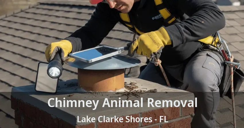 Chimney Animal Removal Lake Clarke Shores - FL Chimney Animal Removal Lake Clarke Shores - FL
