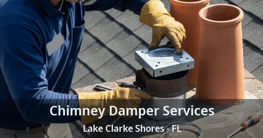 Chimney Damper Services Lake Clarke Shores - FL