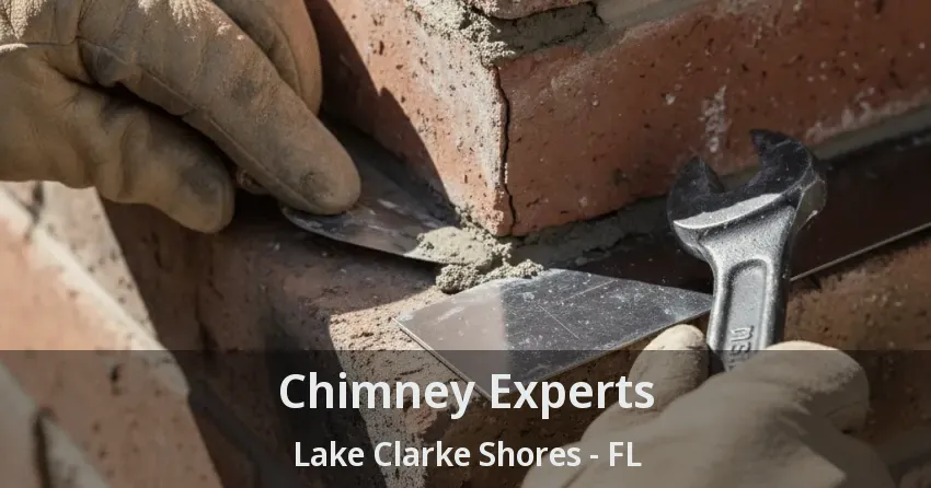 Chimney Experts Lake Clarke Shores - FL
