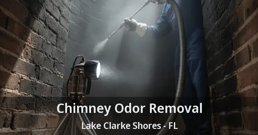 Chimney Odor Removal Lake Clarke Shores - FL
