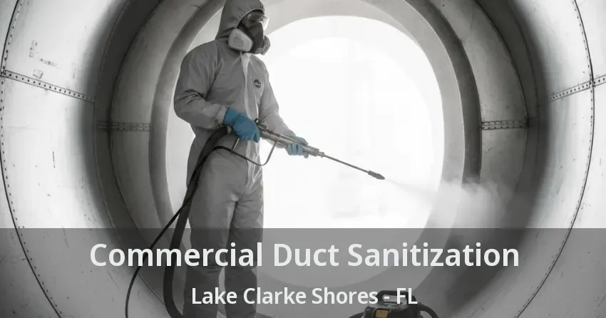 Commercial Duct Sanitization Lake Clarke Shores - FL