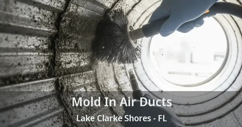 Mold In Air Ducts Lake Clarke Shores - FL