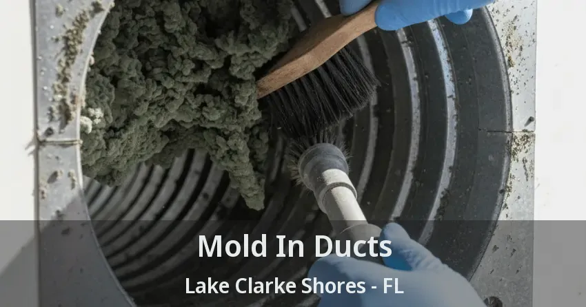 Mold In Ducts Lake Clarke Shores - FL