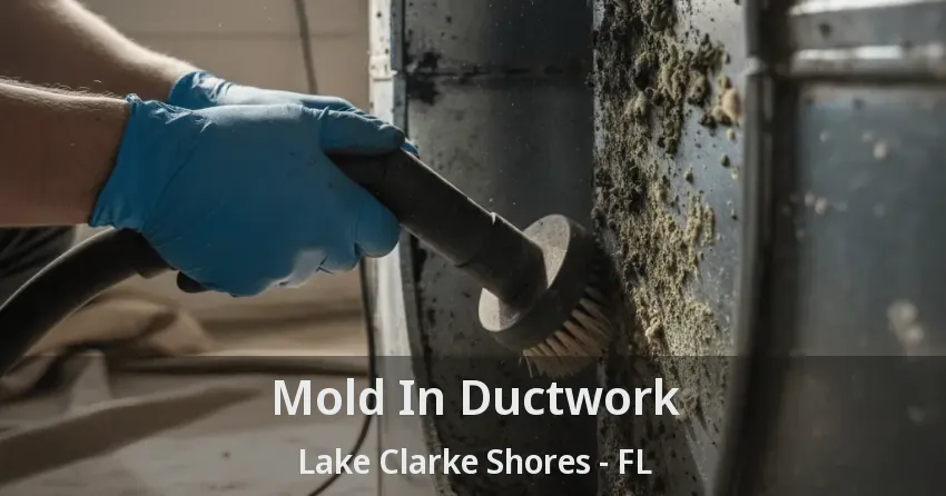 Mold In Ductwork Lake Clarke Shores - FL
