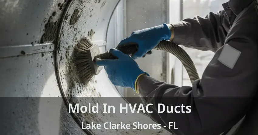 Mold In HVAC Ducts Lake Clarke Shores - FL Mold In HVAC Ducts Lake Clarke Shores - FL